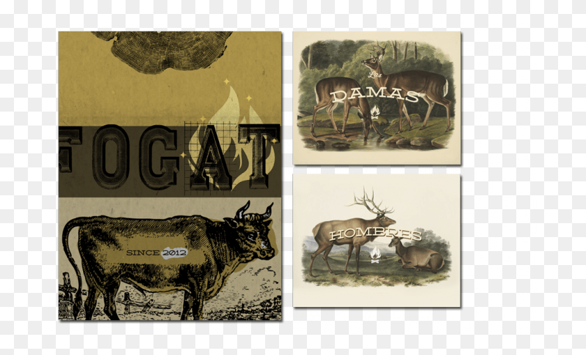 700x449 4 Elk, Cow, Cattle, Mammal HD PNG Download