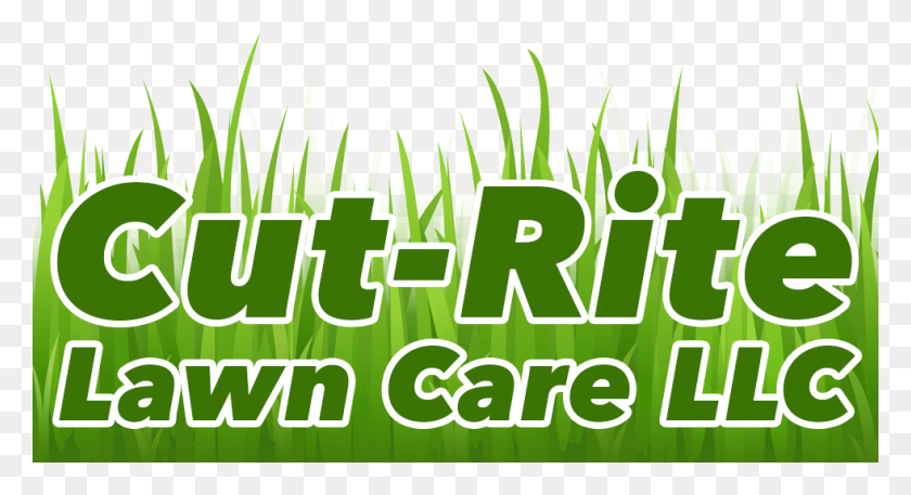 981x500 50 Off First Cut With Seasonal Contract Graphic Design, Green, Text, Plant HD PNG Download