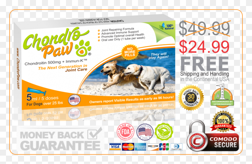 804x504 50 Off On Chondropaw For Big Dogs Dog, Poster, Advertisement, Flyer HD PNG Download