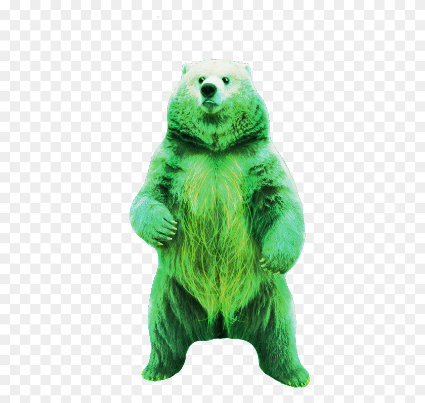 384x735 526x768 Gummy Bear Teddy Bear, Animal, Mammal, Wildlife HD PNG Download