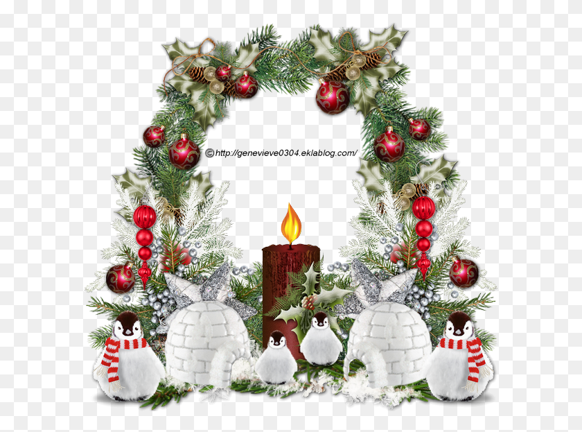 599x563 638635clustermarguerite 646887mer Christmas Ornament, Bird, Animal, Wreath HD PNG Download