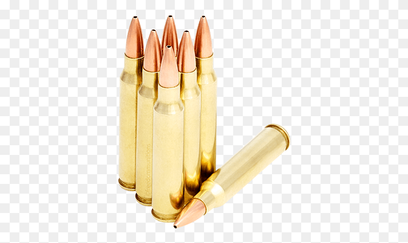 356x442 69 Gr Hpbt New 223 Psp, Weapon, Weaponry, Ammunition HD PNG Download