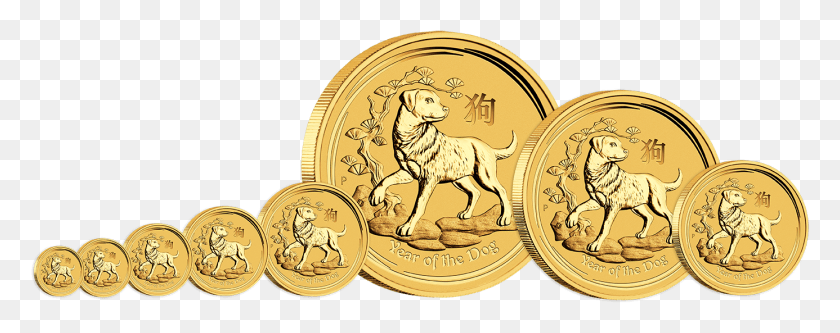1386x486 77 Unidades De Monedas De Perro De Año Nuevo Chino, Oro, León, La Vida Silvestre Hd Png