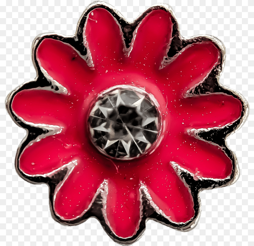 813x815 Pink Daisy, Accessories, Jewelry, Dahlia, Flower Sticker PNG