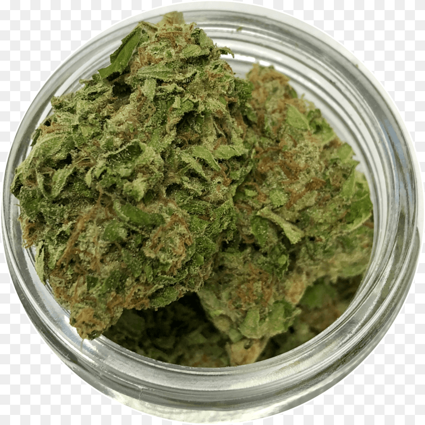 Egg Bhurji, Plant, Weed, Plate PNG