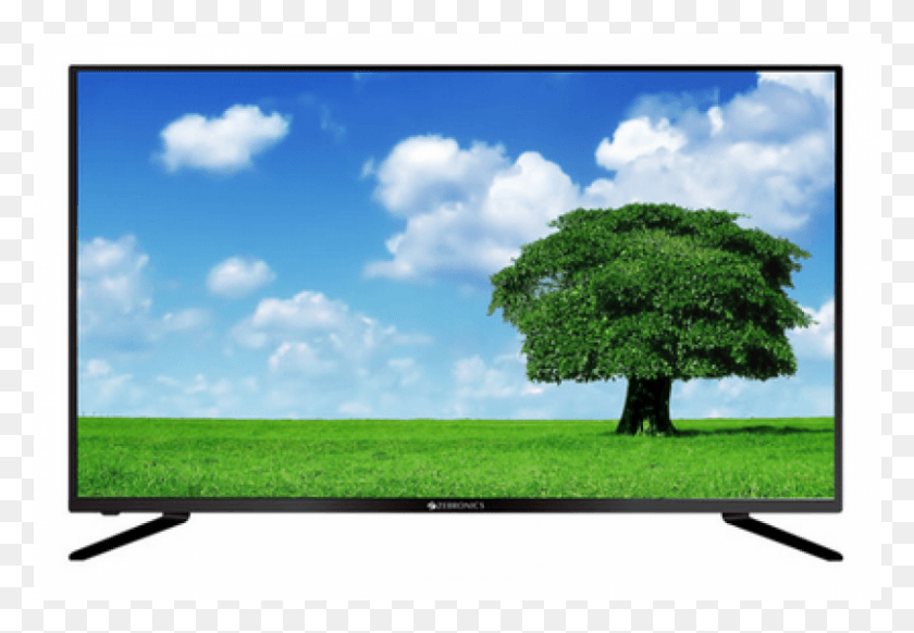 801x537 800x926 Beautiful Tree, Monitor, Screen, Electronics HD PNG Download