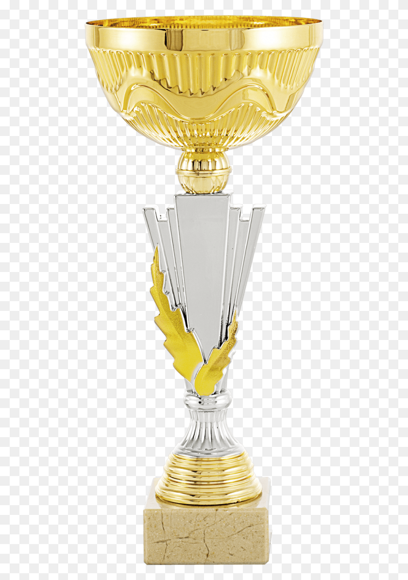 495x1134 847x1140 Trophy, Lamp HD PNG Download