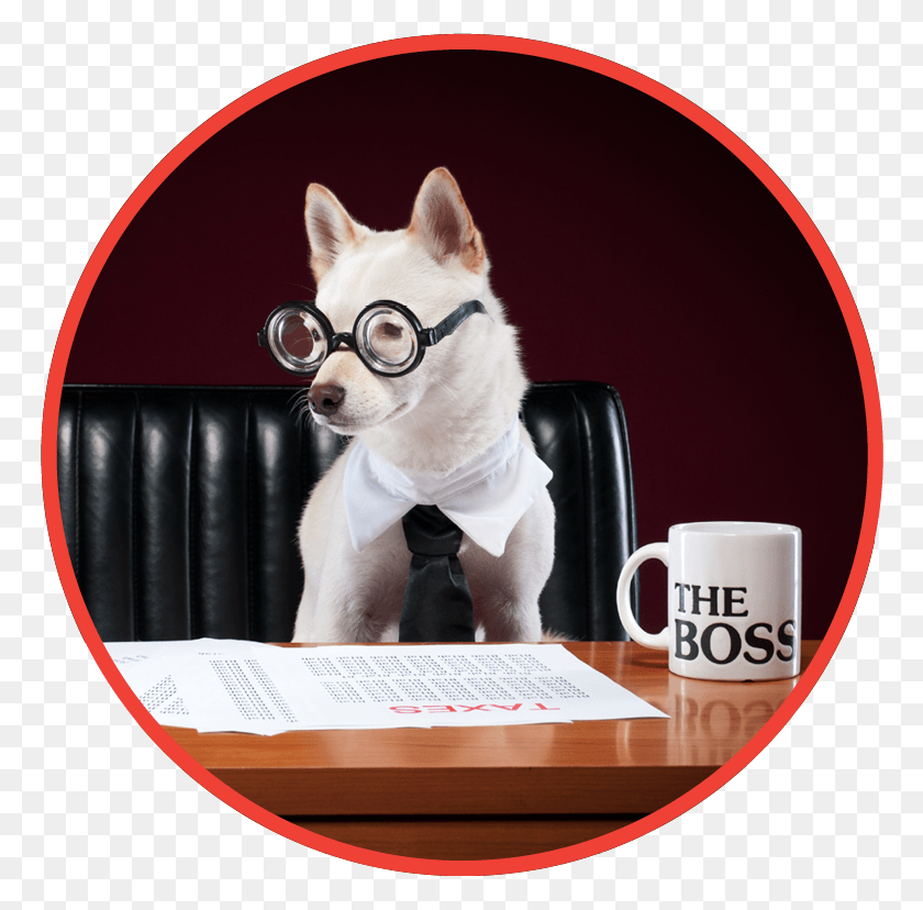 768x768 886 Puppy Giving A Presentation, Coffee Cup, Cup, Dog HD PNG Download