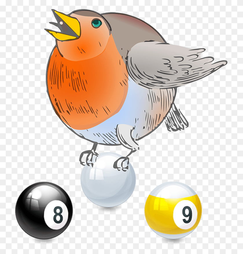 737x817 9 Ball Advanced Tournaments Round Robin Clip Art, Animal, Bird HD PNG Download