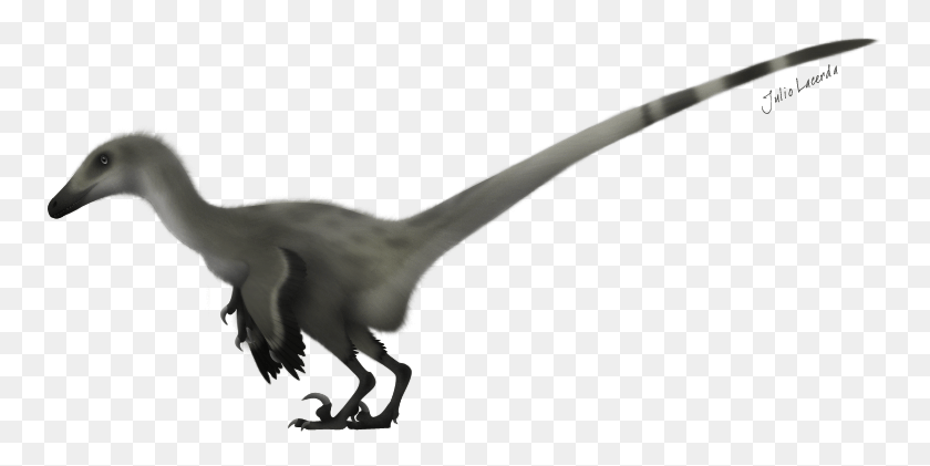 755x361 900x380 Velociraptor Mongoliensis By Karkajou1993 D411in0 Velociraptor, Bird, Animal, Dinosaur HD PNG Download