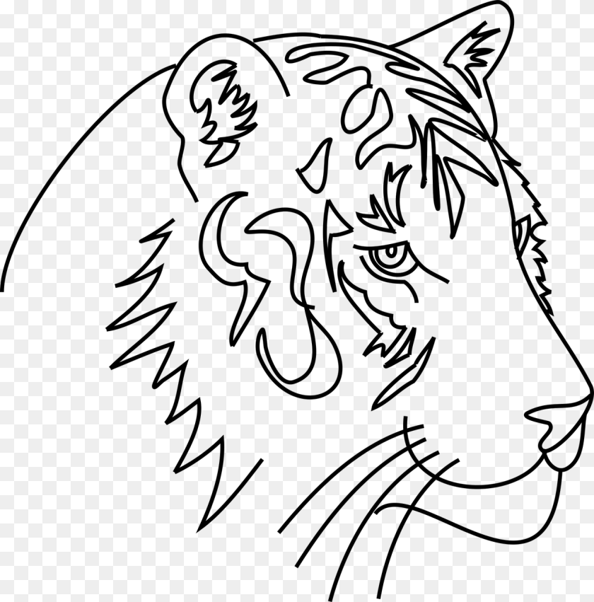 Cat Vector, Gray Transparent PNG