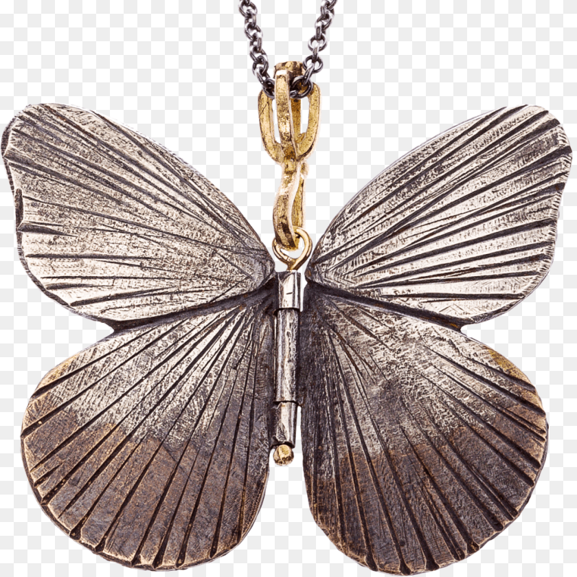 Butterfly Wing, Accessories, Pendant, Jewelry, Appliance Clipart PNG