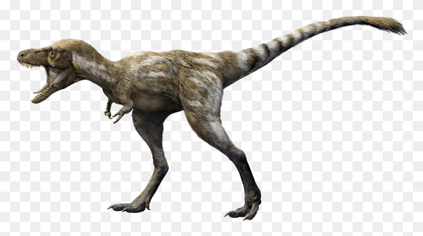 1166x610 A 4 Year Old T New T Rex Reconstruction Ny Museum 2019, T-rex, Dinosaur, Reptile HD PNG Download