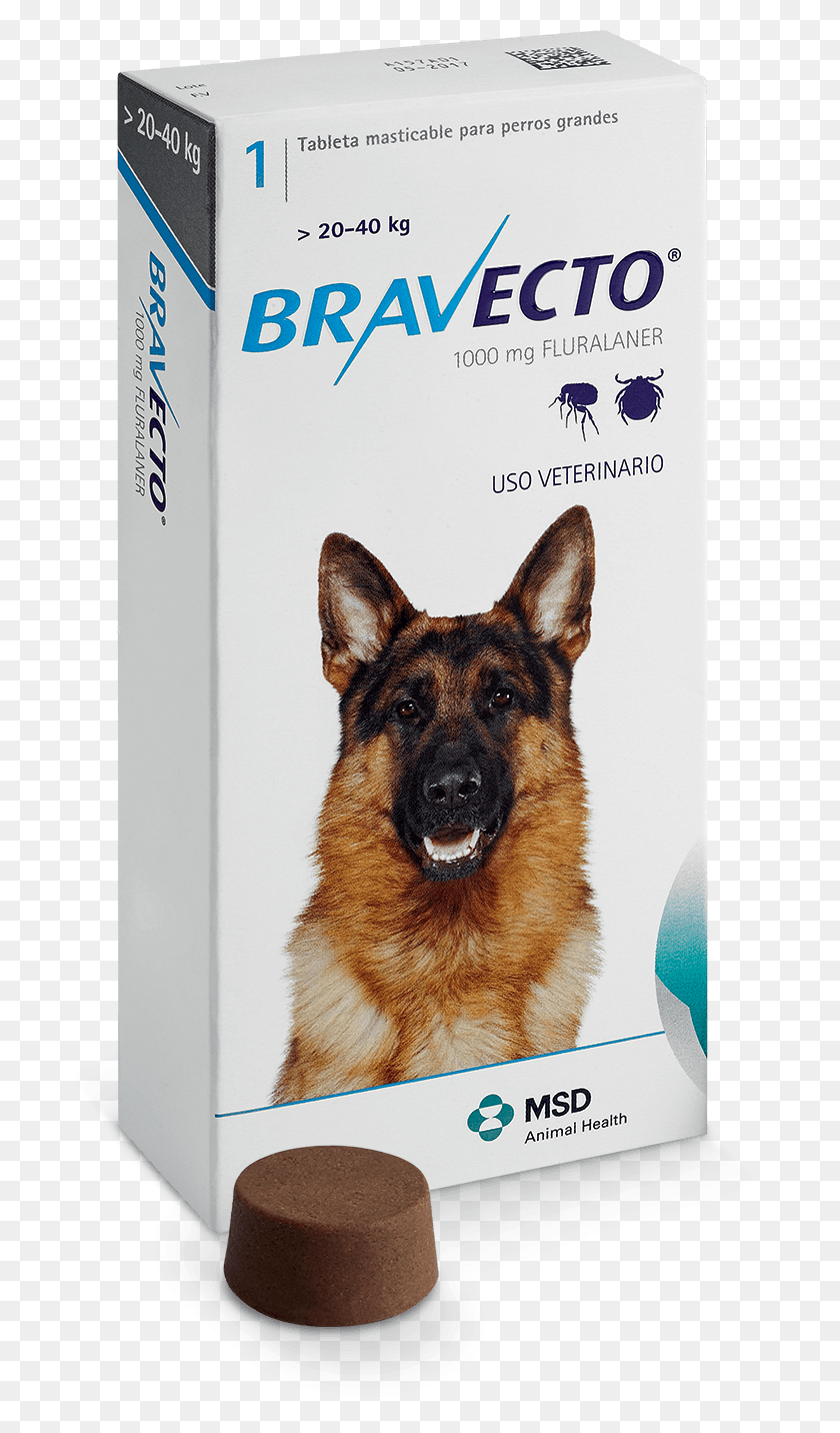 726x1372 A 40kg Image Description Bravekto Dlya Sobak 20 40 Kg, German Shepherd, Dog, Pet HD PNG Download