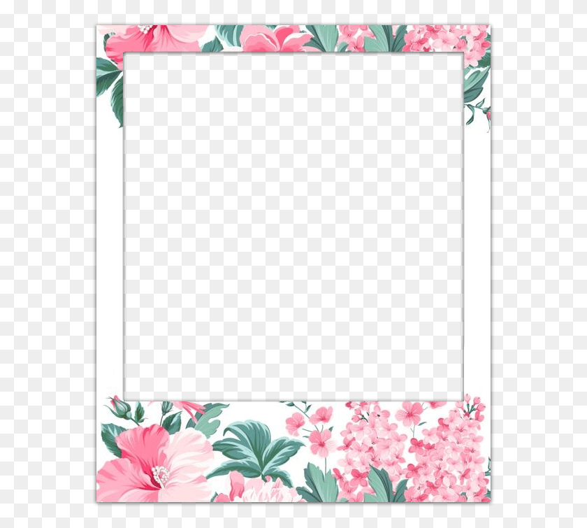 577x695 A Blog Of A Portuguese Art Student Polaroid Frame Polaroid Frame, Plant, Flower, Blossom HD PNG Download