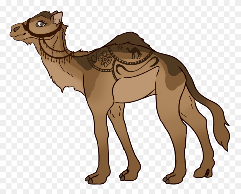 909x720 Аравийский Верблюд, Животное, Млекопитающее, Лошадь Png Скачать