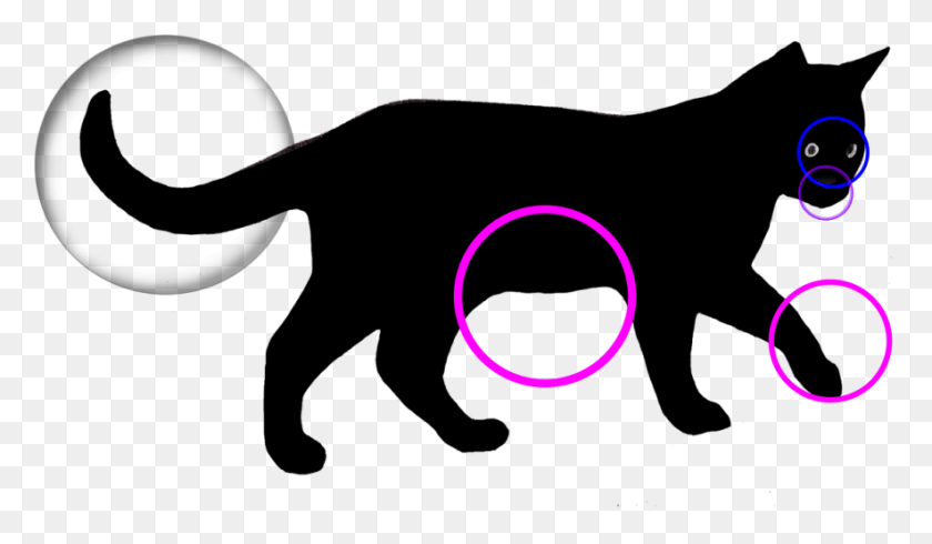 885x489 A Cat39s Tail Can Show Its A Cat Has Scent Glands A, Outdoors, Light, Hand HD PNG Download