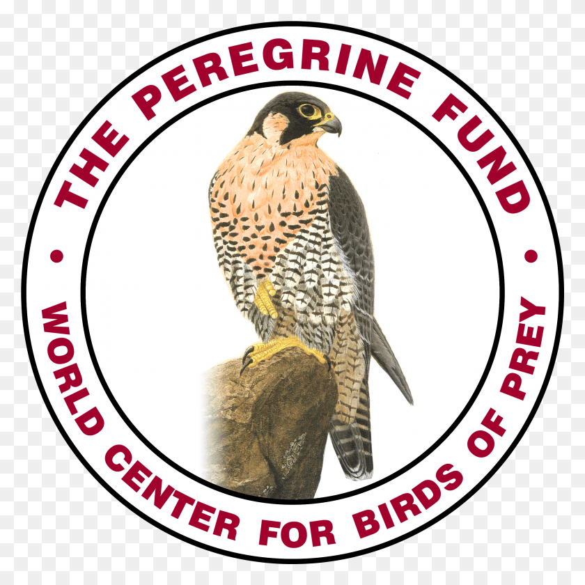 2576x2576 A Collaboration Of The Cabin And The Peregrine Fund 39S State University Of New York At Buffalo Logo, Bird, Animal, Accipiter Hd Png