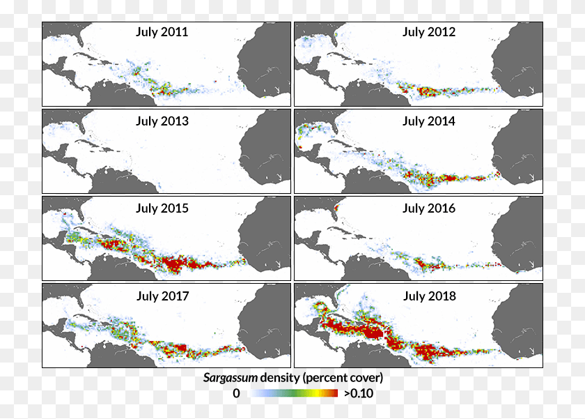 721x541 A Compilation Of Maps Showing How Sargassum Algae Mats Great Atlantic Sargassum Belt, Map, Diagram, Plot HD PNG Download