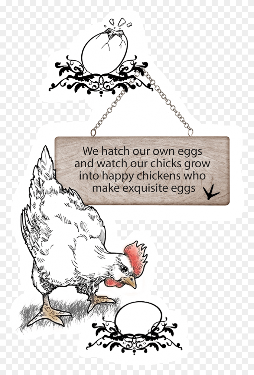 783x1182 A Day On Our Farm Cartoon, Animal, Bird, Fowl HD PNG Download