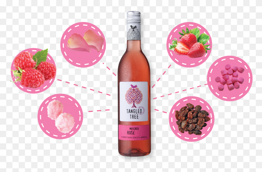 1663x1049 A Delicate Pink Aromatic Wine With A Luscious Nose Strawberry, Beverage, Drink, Alcohol HD PNG Download