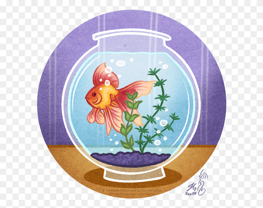 606x606 A Drawing Of A Fancy Fan Tailed Goldfish Swimming Coral Reef Fish, Animal HD PNG Download