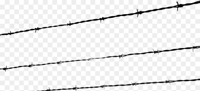 A Growing Evil, Wire, Barbed Wire Transparent PNG