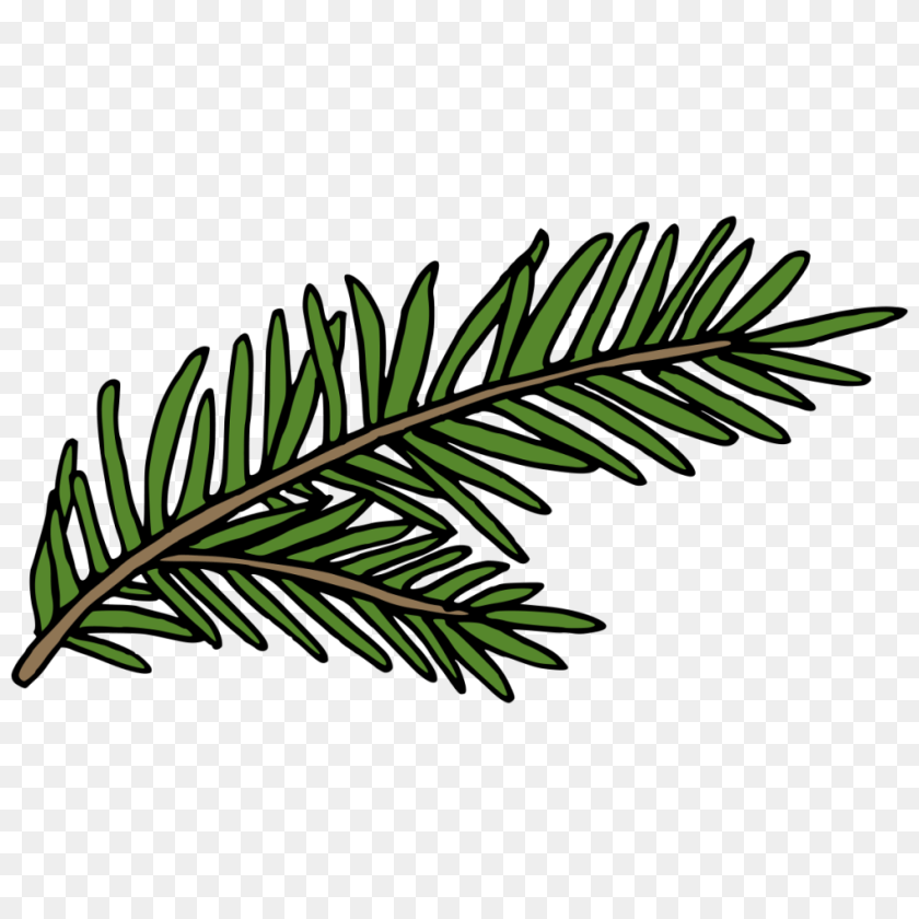 1024x1024 A Hand Painted Green Fern Winter Decorative, Conifer, Leaf, Plant, Tree Transparent PNG
