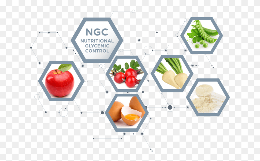 649x463 A Healthy Proportions Slow Carbohydrates And Fibers Fruit, Plant, Produce, Food HD PNG Download