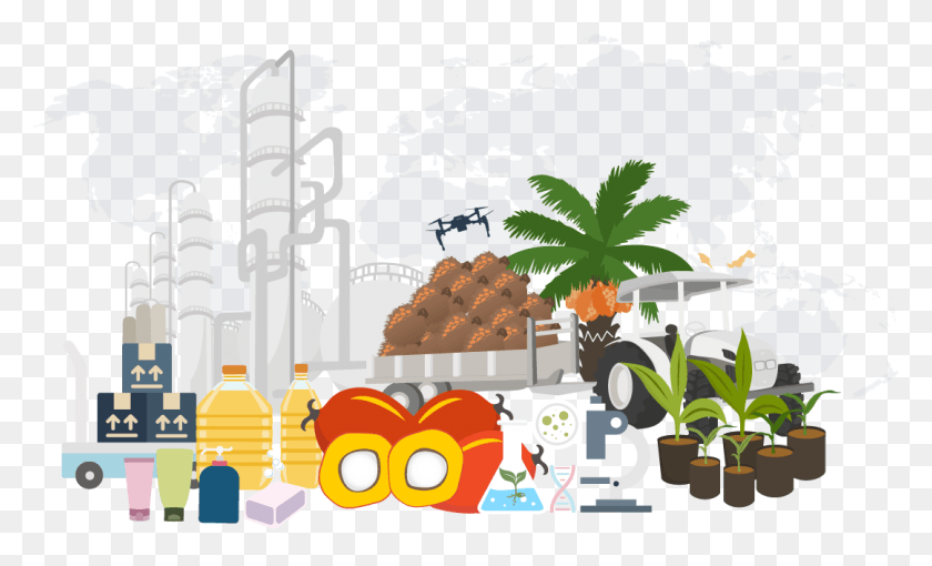 1081x624 A Leading Global Integrated Palm Oil Player Oil Palm Fruit Vector, Plant, Vegetation, Angry Birds HD PNG Download