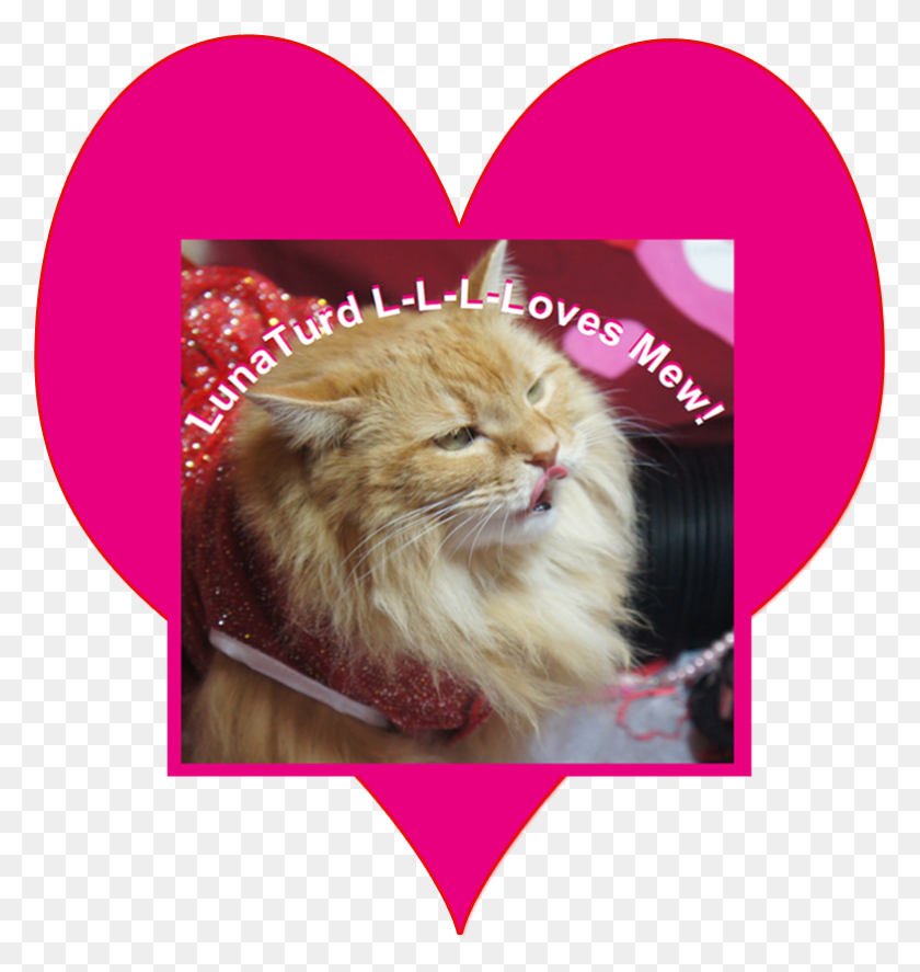 782x830 A Lunaturd Love Tune Cat Yawns, Pet, Mammal, Animal HD PNG Download