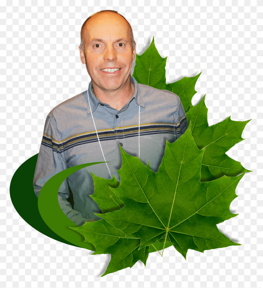 1317x1455 A Message From Allan Arthur Our President, Leaf, Plant, Tree HD PNG Download