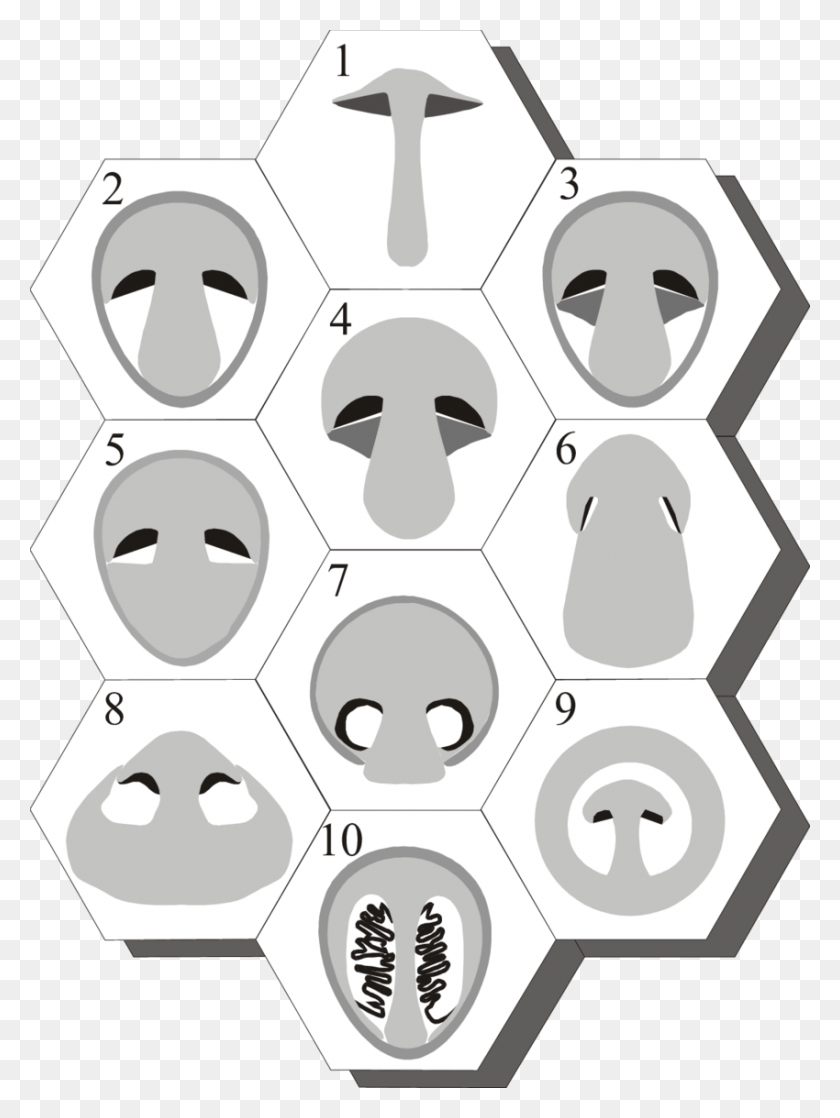 850x1154 A Montage Of Diagrammatic Sections Illustrating The Circle, Face, Head, Penguin HD PNG Download