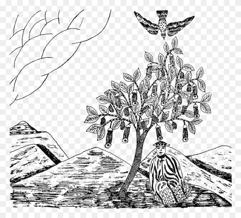 793x711 A Native Drawing Of The Tree Of The Evil Eagle Illustration, Snowflake, Chandelier, Lamp HD PNG Download