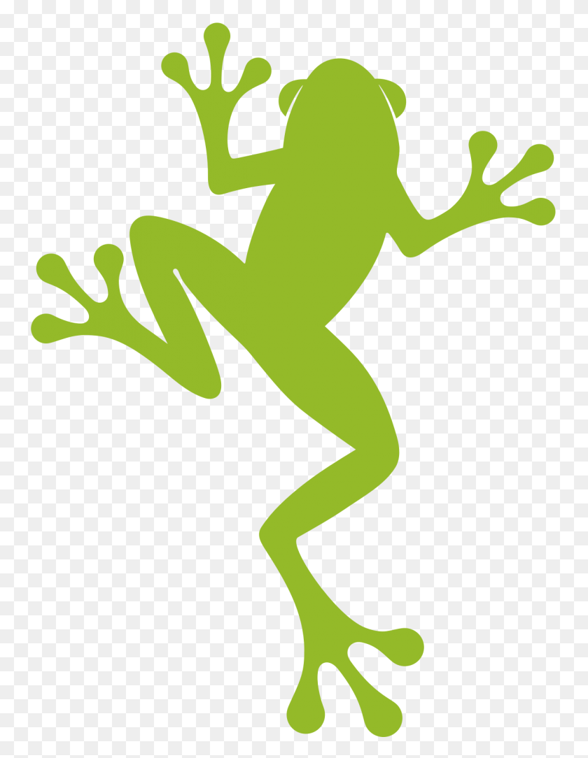 753x1024 A New Look For Our Frog True Frog, Wildlife, Animal, Amphibian HD PNG Download