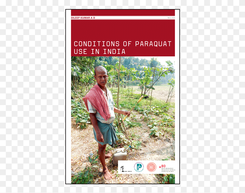 394x601 A New Report Published Today Conditions Of Paraquat Tree, Person, Outdoors, Garden HD PNG Download