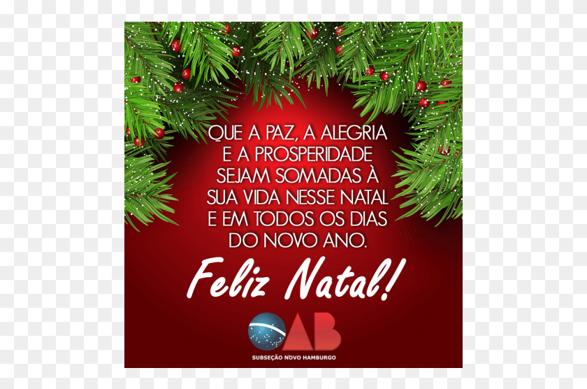 485x496 A Oabnh Deseja A Todos Um Feliz Natal С Рождеством И Новым Годом 2019 Psd, Дерево, Растение, Хвойное Дерево Hd Png Скачать