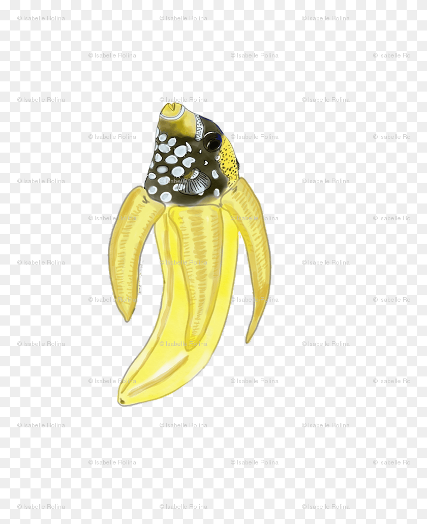 773x970 Descargar Png Un Día Perfecto Para Un Pez De Plátano, Plátano, Planta, Animal, Pelar Hd Png
