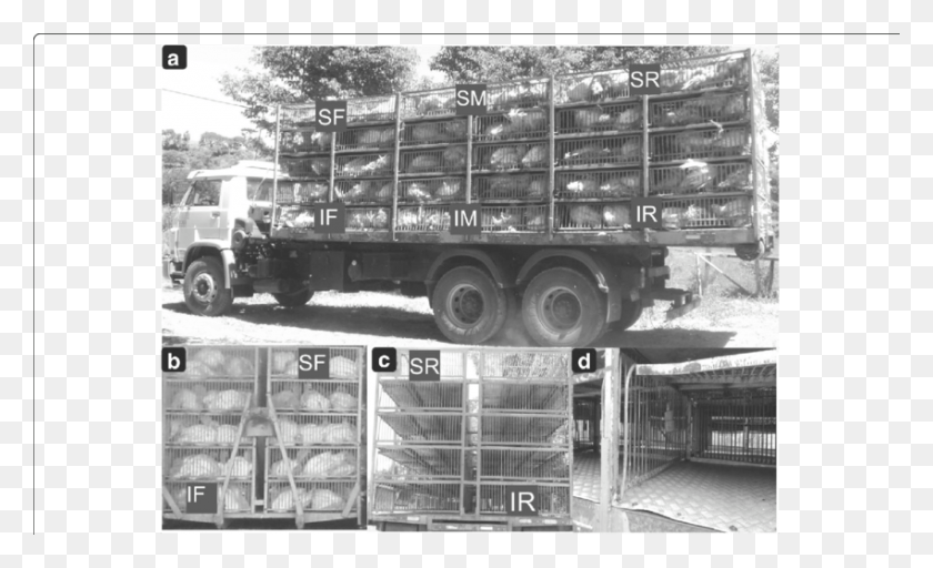 850x493 A Photograph Of The Truck Container Side Loaded With Trailer Truck, Vehicle, Transportation, Wheel HD PNG Download