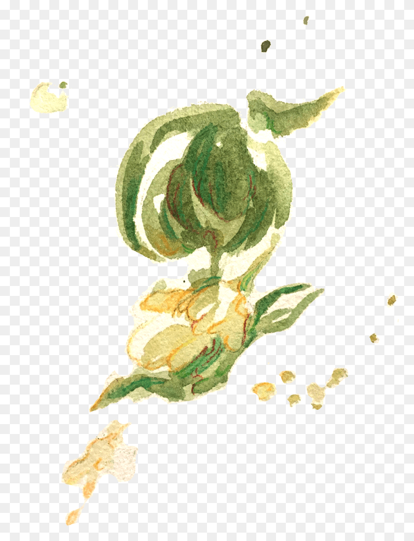 965x1283 A Preview Of My Tea Leaves Study For A Zine Called Garden Roses, Plant, Flower, Blossom HD PNG Download