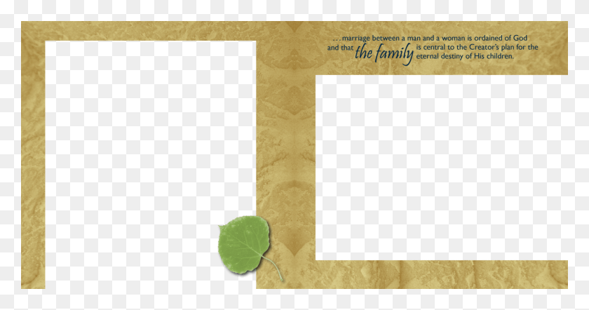 1600x785 A Proclamation Template Update, Text, Plant, Leaf HD PNG Download