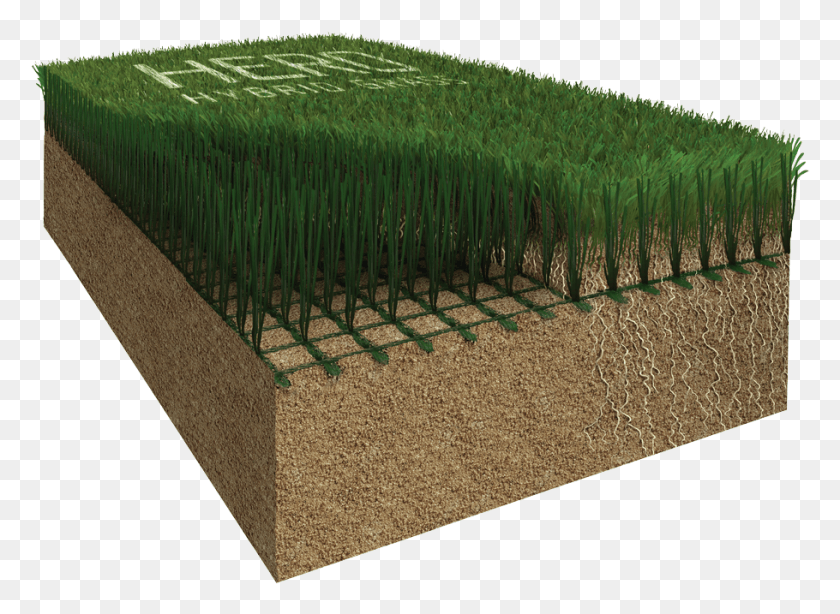 910x647 A Revolution In New Hybrid Grass Technology Hedge, Rug, Plant, Fence HD PNG Download