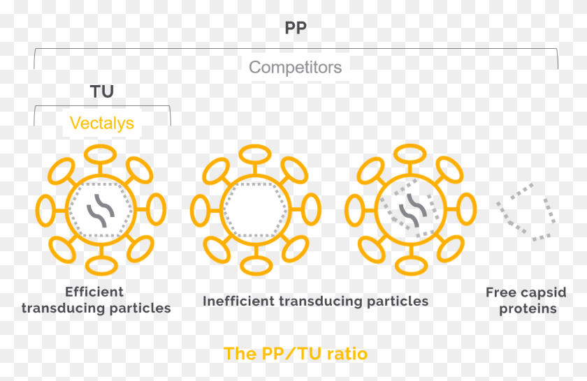 1178x735 A Robust And Strong Titration Method Circle, Text, Label, Number HD PNG Download