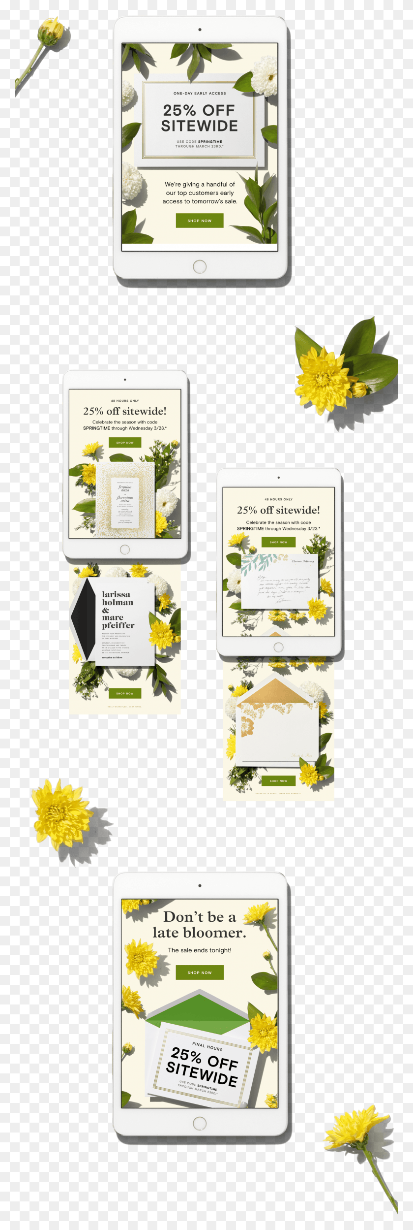 2241x7007 A Sale Campaign For Paperless Post39S Annual Spring Sunflower, Poster, Advertisement, Flyer Descargar Hd Png