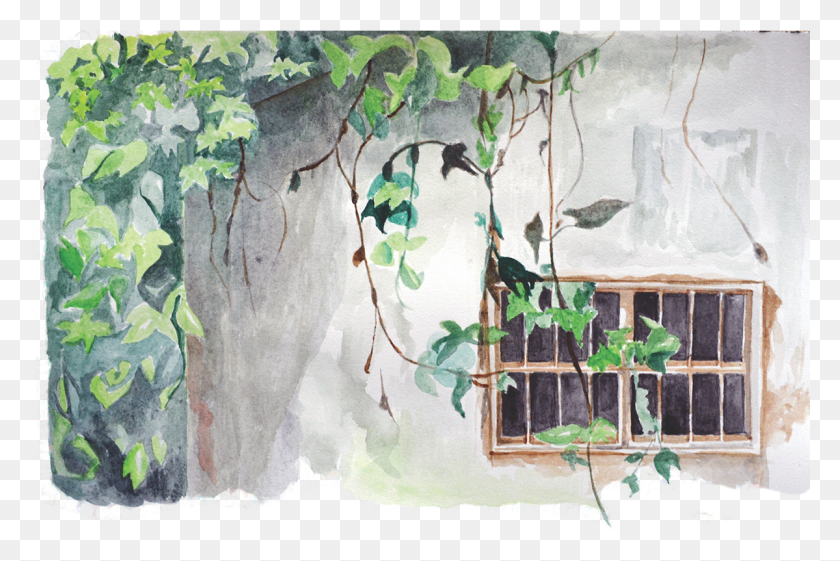 1199x771 A Series Of Watercolors That Illustrate The Quiet Spaces Painting, Plant HD PNG Download