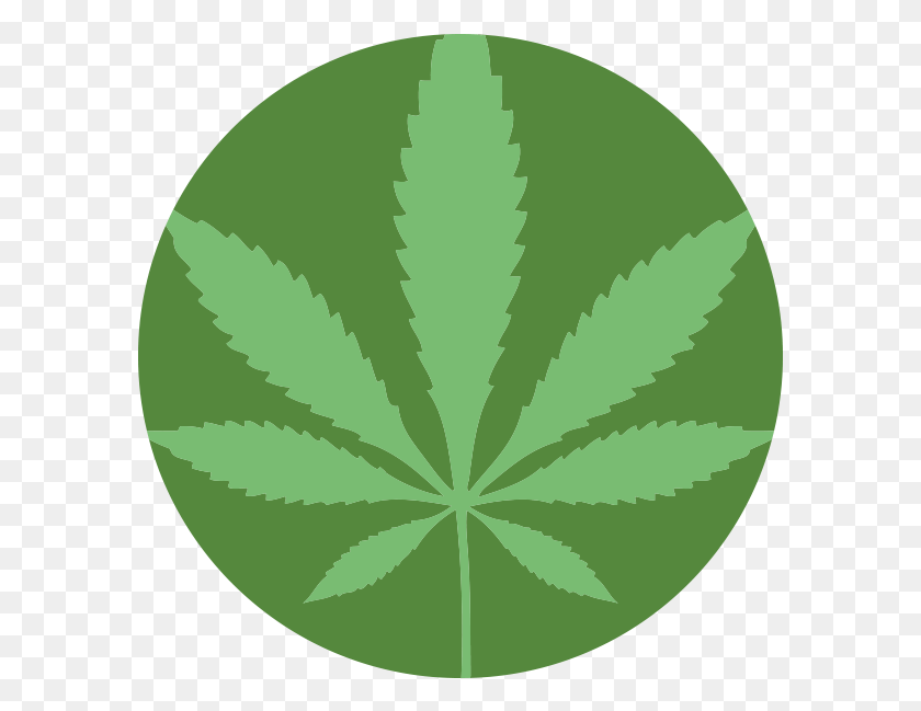 589x589 Descargar Png / Signo De Marihuana, Verde, Planta, Hoja Hd Png