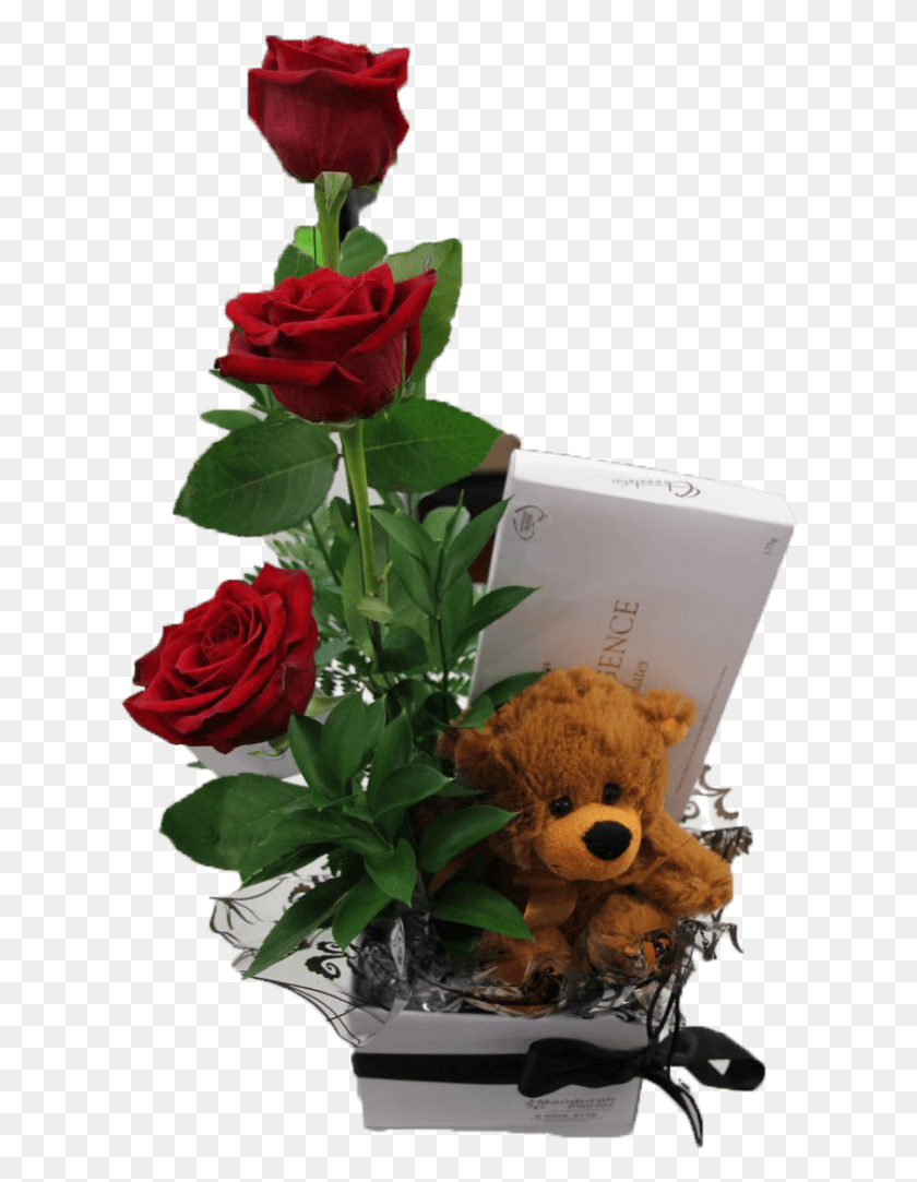 620x1023 A Teddy And I Love You Garden Roses, Plant, Rose, Flower HD PNG Download