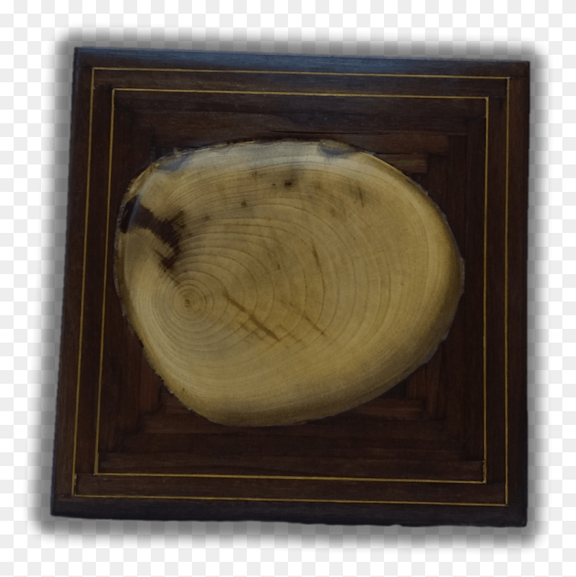 966x969 A Tree Section Picture Frame, Tabletop, Furniture, Wood Descargar Hd Png