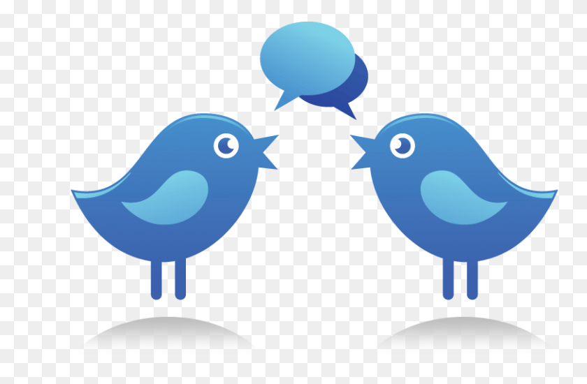 813x511 Un Chat De Twitter Sobre La Innovación Educativa El Chat De Twitter, Pájaro, Animal, Iluminación Hd Png Descargar