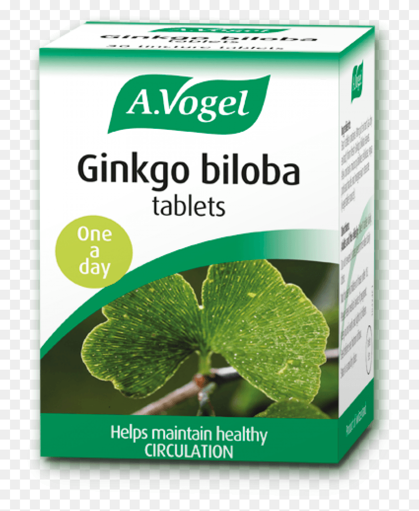 734x963 A Vogel Ginkgo Biloba 30 Tabs Vogel Menopause Support, Plant, Vase, Jar HD PNG Download